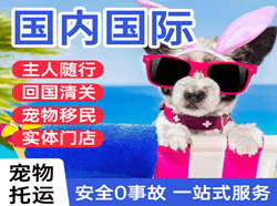 福州航空托运国际宠物托运 【国